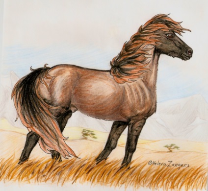 Тарпан - сайт про коней