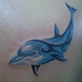 Tatuaj delfinilor sensul - sensul simbolului pentru fete și băieți