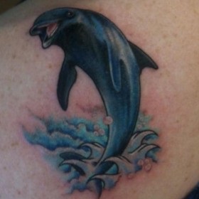 Тату дельфіни значення - сенс символу для дівчат і хлопців