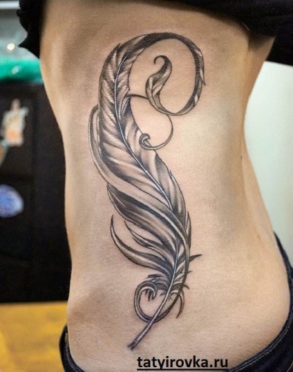 Feather tatuaj și sensul său