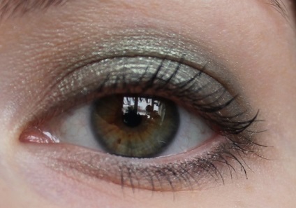 Eyeshadow loreal la couleur infailibilă №009 comentarii permanente kaki