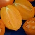 Tomato Budenovka descriere, caracterizare și cultivare