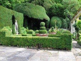 Topiari la dacha, cu idei proprii de fotografie