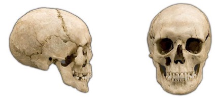 Topografia craniului și anatomia acestuia