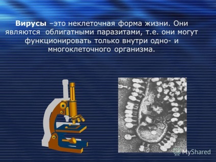 Трансфер фактор віруси бактерії грибки диво імунної системи людини