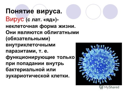 Factori de transfer de virusi Bacterii Fungi Miracle al sistemului imunitar uman