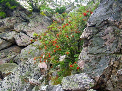 Zone turistice din regiunea Chelyabinsk - dealuri alexander