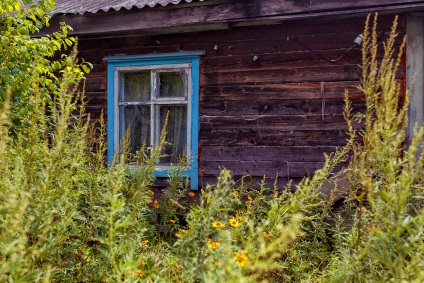 Що йде Примор'я село дальній кут - як жити в тайзі без роботи, поліції, дівчаток і дров