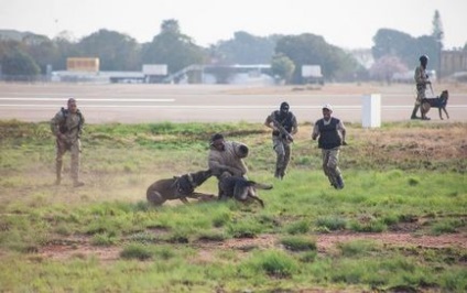 În Africa, cu braconierii se luptă păstorii-parașutiști