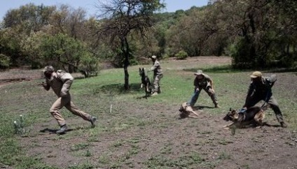 În Africa cu braconierii se luptă păstorii-parașutiști