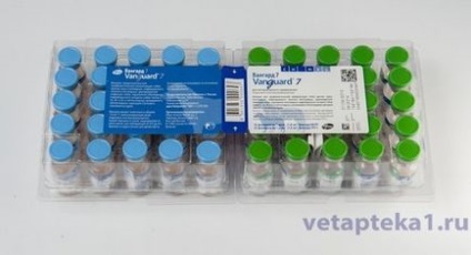 Vanguard vaccine 7