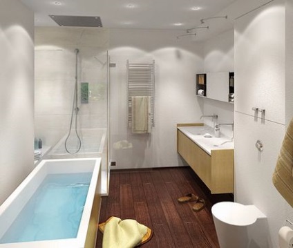 Opțiuni de design pentru o baie combinată, o selecție de interioare foto și idei de design