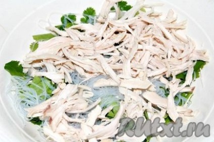 Salată vietnameză cu pui - pregătim pas cu pas o fotografie