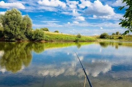 Вибір і оснащення махового вудилища - fishing magazine - інтернет-журнал про улюбленому захопленні