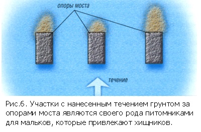 Вибір місця лову - як ловити - снасті - все для риболовлі в Петербурзі - портал для рибалок