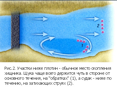 Вибір місця лову - як ловити - снасті - все для риболовлі в Петербурзі - портал для рибалок