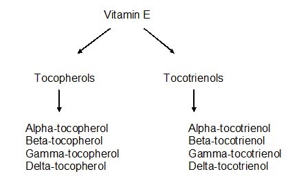 Vitamina E pentru față