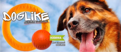 Vitaminok kutyák számára, az online kisállat bolt zoograd