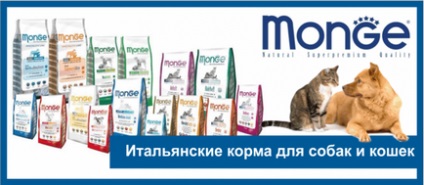 Vitamine pentru câini, magazin online de animale de companie zoograf