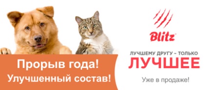 Vitamine pentru câini, magazin online de animale de companie zoograf