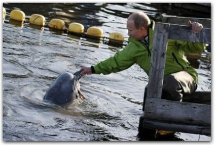 Vladimir Vladimirovici Putin ca o oglindă a evoluției rusești