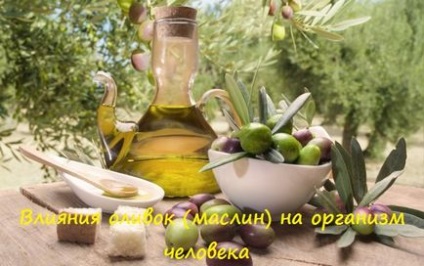 Впливу оливок (маслин) на організм людини