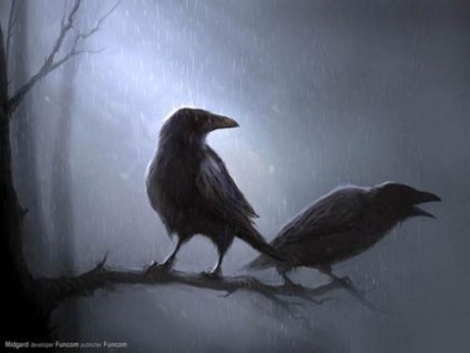 Ravens - legokosabb teremtés