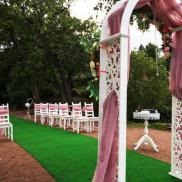 У парку Монрепо вперше пройшла урочиста церемонія одруження, державний