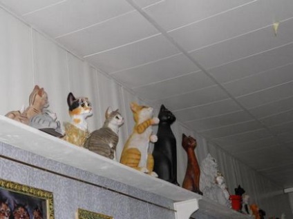 Vsevolozhsk, descrierea muzeului pisicilor, atracții turistice și fapte interesante