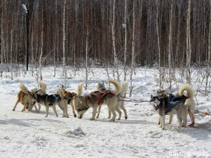 Centrul Husky Aquilon Chelyabinsk, blog despre călătoriile lui Serghei Dyakov