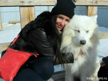 Huskies központ Aquilon Cseljabinszk, egy utazási blog Sergey Dyakov