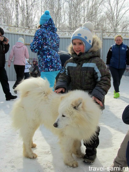 Huskies központ Aquilon Cseljabinszk, egy utazási blog Sergey Dyakov