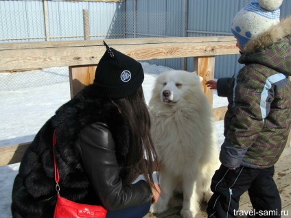 Centrul Husky Aquilon Chelyabinsk, blog despre călătoriile lui Serghei Dyakov