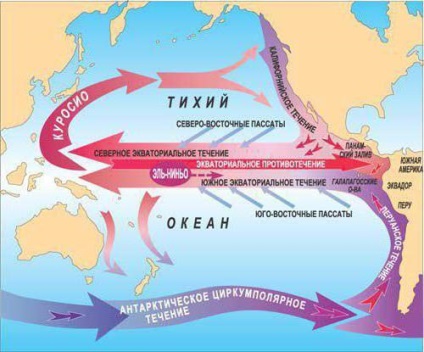 Curentul rece și cald al Oceanului Pacific