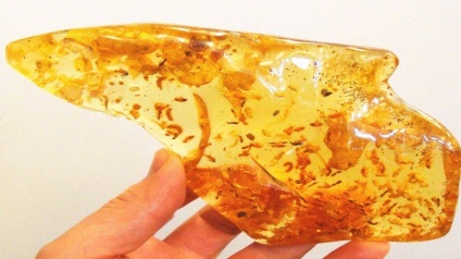 Acidul amber este un beneficiu pentru sănătate