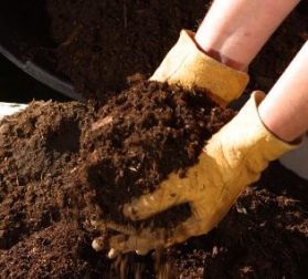 Miért a talaj trágya vagy más szerves trágyák