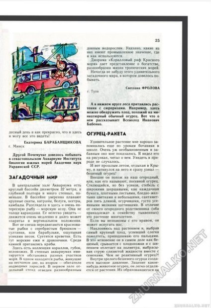 Загадковий світ огірок-ракета - юний натураліст 1988-07, сторінка 27