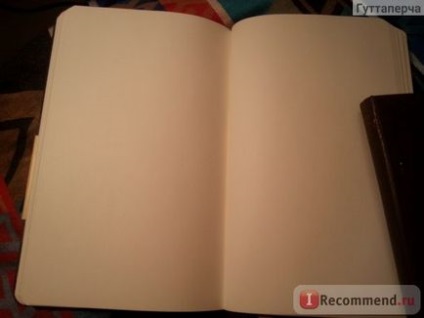 Notebook moleskine - 