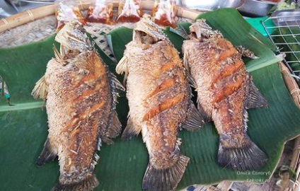 Fried tilapia pe un grătar - rețetă cu o fotografie