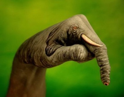 Animale pe mâini (creație neobișnuită) (fotografie)