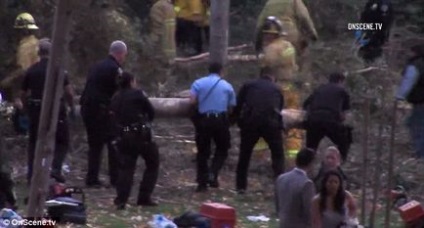 O tragedie teribilă în timpul ceremoniei de nuntă un copac uriaș sa prăbușit pe o mulțime de oaspeți, omorând o mamă