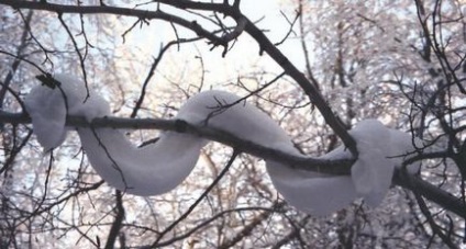 Kígyók a hó Szilveszter (New Year) Kígyók a hó Szilveszter