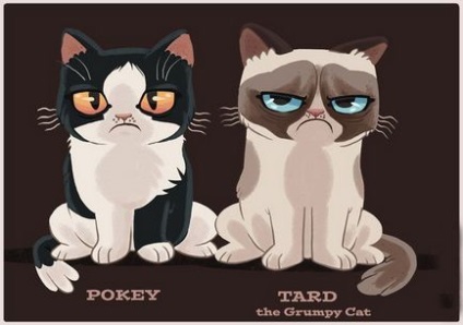 Знайомтеся тарда, або grumpy cat