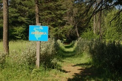 10 rute auto nu mai mult de 150 de km de fenomene naturale din Kazan, arboretum, muzeu de tractoare