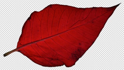 6. Gyakorlatok letölteni tárgyaknak a háttérből - photoshop alap (terület) 6. Gyakorlatok letölteni tárgyaknak a háttérből - Photoshop alapok: