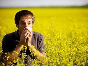 Allergia növényeket okok és a kezelés