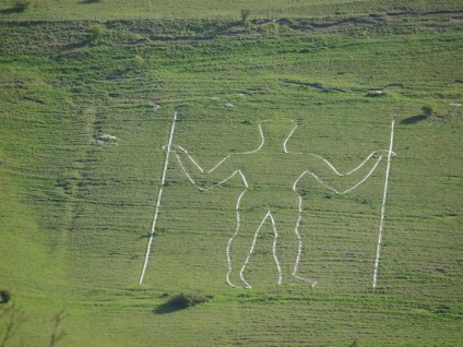 Andean candelabra descriere și fotografie