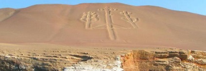 Andean candelabra descriere și fotografie