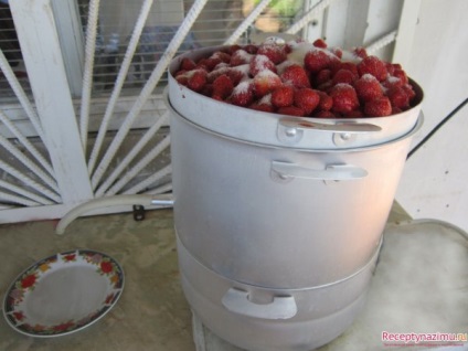 Suc de suc de căpșuni - rețete delicioase pentru recolta de iarnă - sărare, conservare, decapare