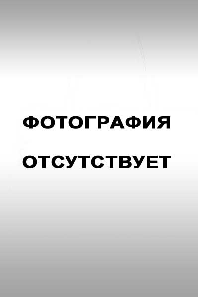 Автобіографії кандидатів в депутати міськради Бердська, Бердськ-онлайн